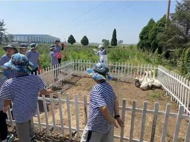 农宠乐园 —— 少长集航空研学基地